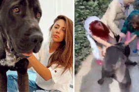 fenomen-banu-parlakin-kopegi-komsusunun-kopegini-oldurdu-VRPNLCGy.jpg