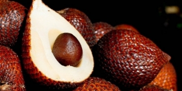 goz-sihhati-icin-aranan-meyve-bulundu-yilan-meyvesi-N48mnz4P.jpg