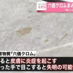 japonyada-zehirli-kimyasal-husus-iceren-tanka-dusen-kedi-fukuyama-kentini-alarm-durumuna-gecirdi-pXztgZpG.jpg