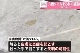 japonyada-zehirli-kimyasal-husus-iceren-tanka-dusen-kedi-fukuyama-kentini-alarm-durumuna-gecirdi-pXztgZpG.jpg