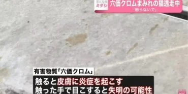 japonyada-zehirli-kimyasal-husus-iceren-tanka-dusen-kedi-fukuyama-kentini-alarm-durumuna-gecirdi-pXztgZpG.jpg
