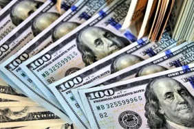 merkez-bankasi-anketinde-yil-sonu-dolar-kestirimi-4053-tl-oldu-OGU6Q6rH.jpg