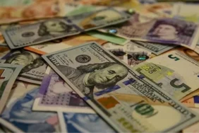 dolar-euro-ne-kadar-iste-kurlarin-secim-sonuclarina-reaksiyonu-Hh1ENNtA.jpg
